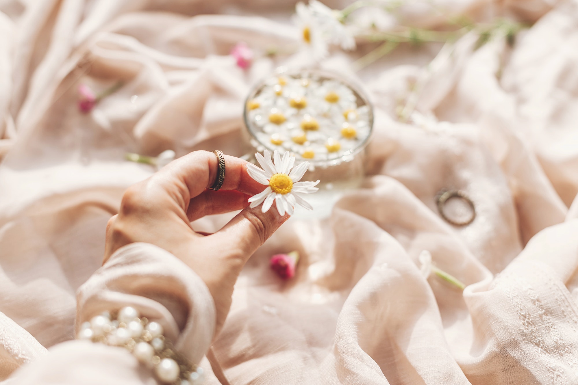 Hand holding daisy flower on background of soft beige fabric with glass cup with flowers